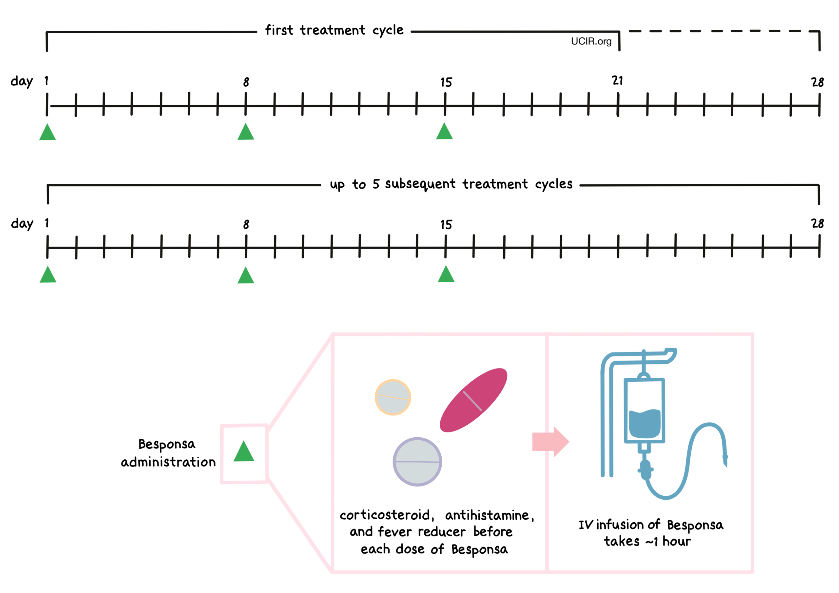 Illustration showing how Besponsa is administered Illustration showing how Besponsa is administered