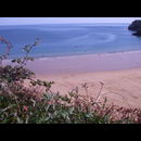 Wales Beaches 2