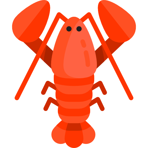 Eastern Rock Lobster Fresh