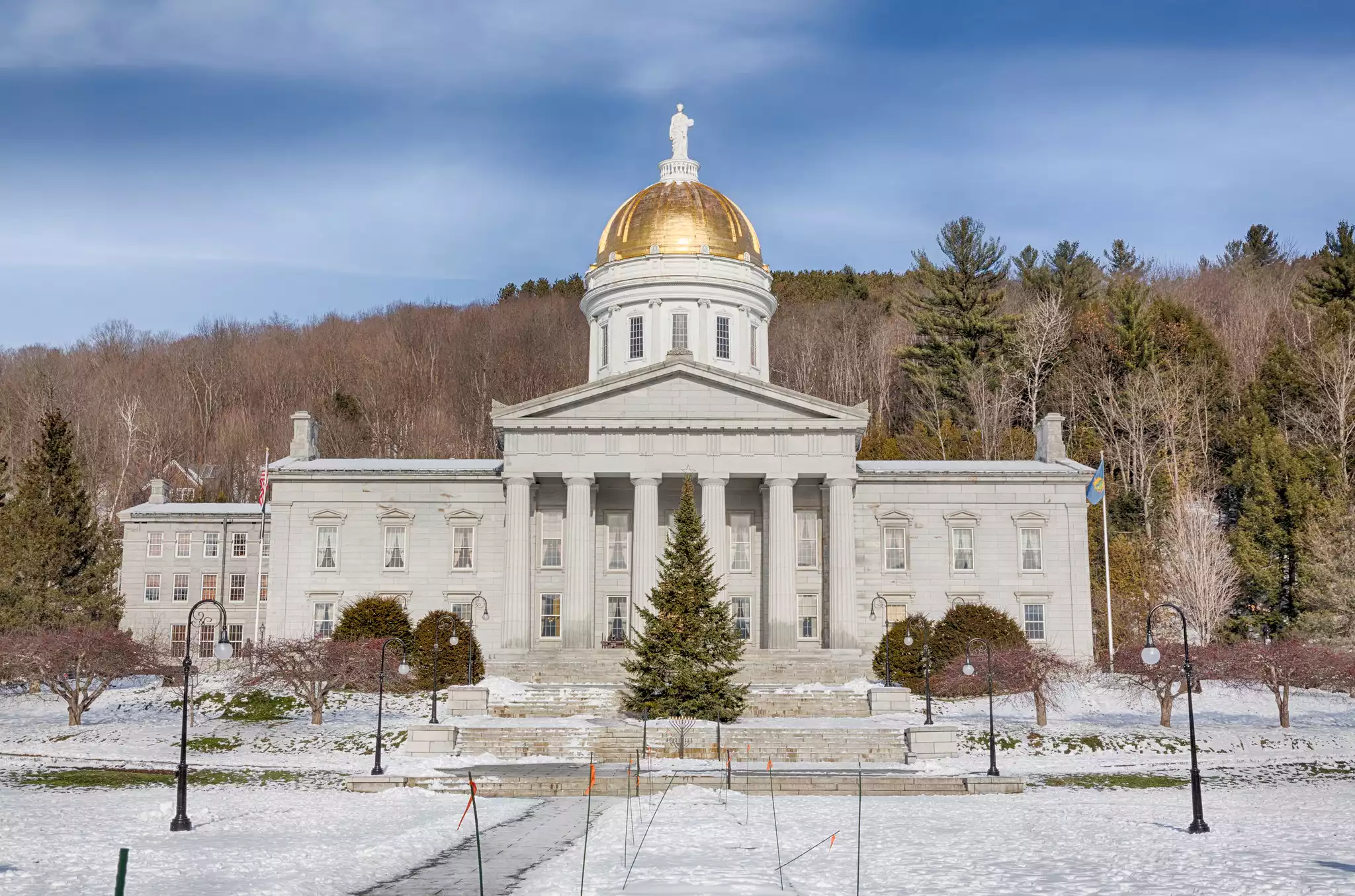 Vermont State House #1
