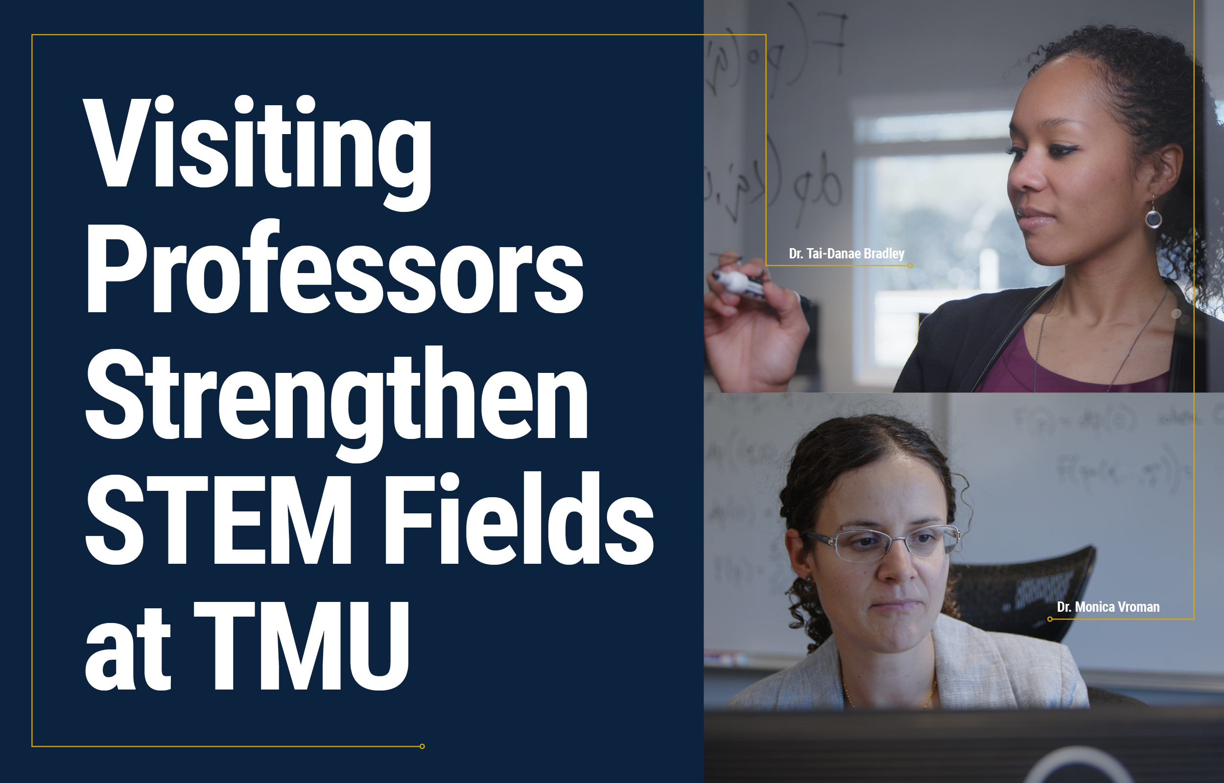 Visiting Professors Strengthen STEM Fields at TMU image