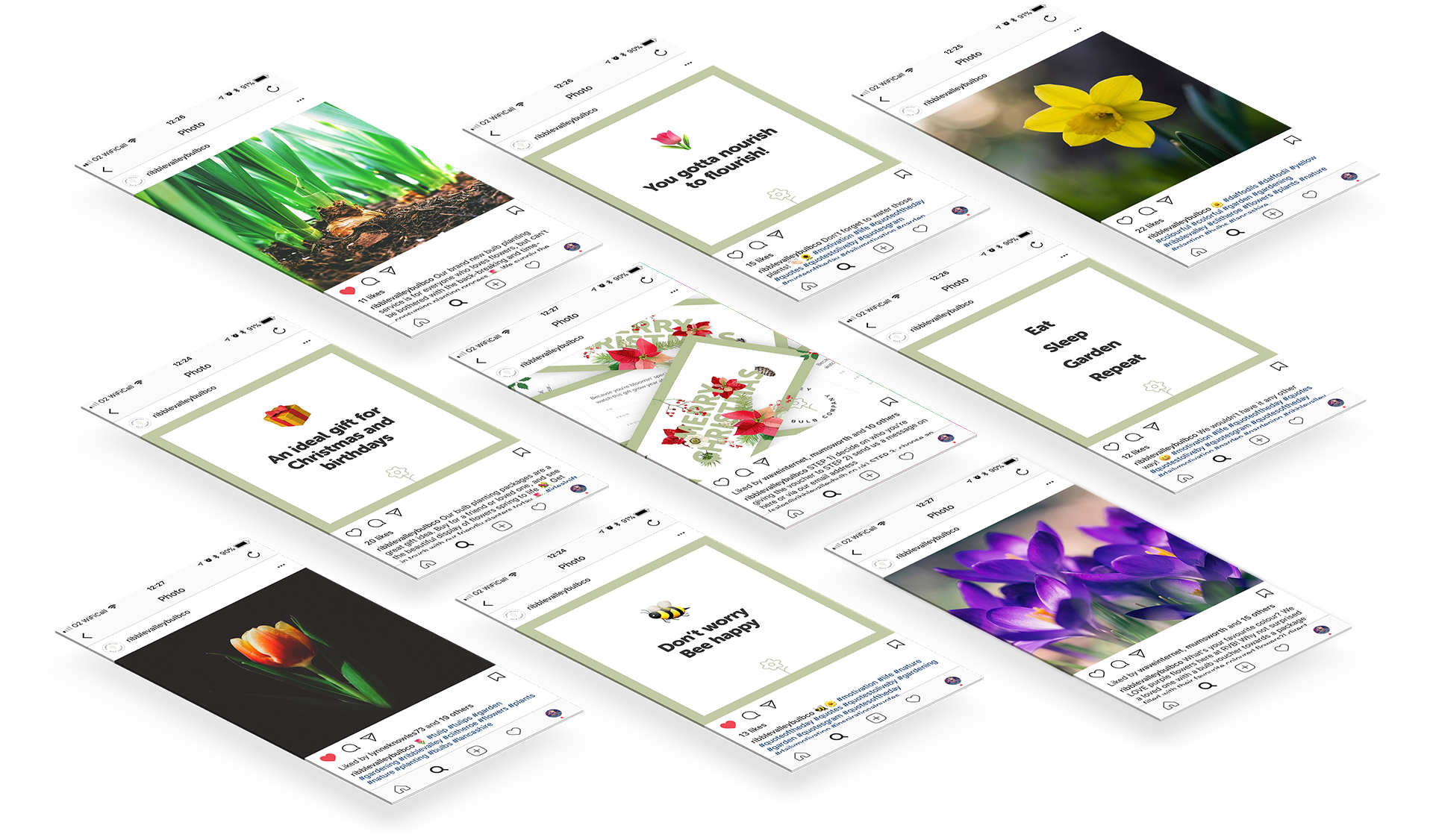 Launch campaign and social media management for Ribble Valley Bulb Company