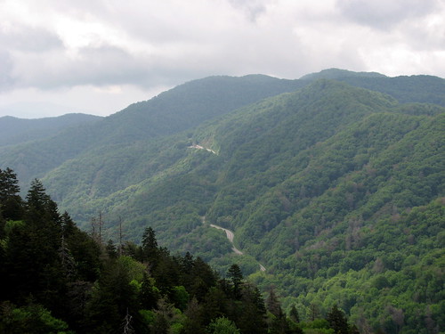 Koher Medical: Best Hiking Trails in North Carolina