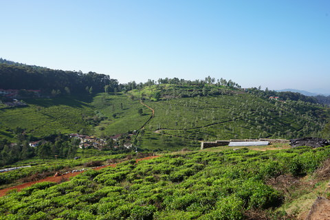 Hill Valley Enclave | Property in Wellington Coonoor image