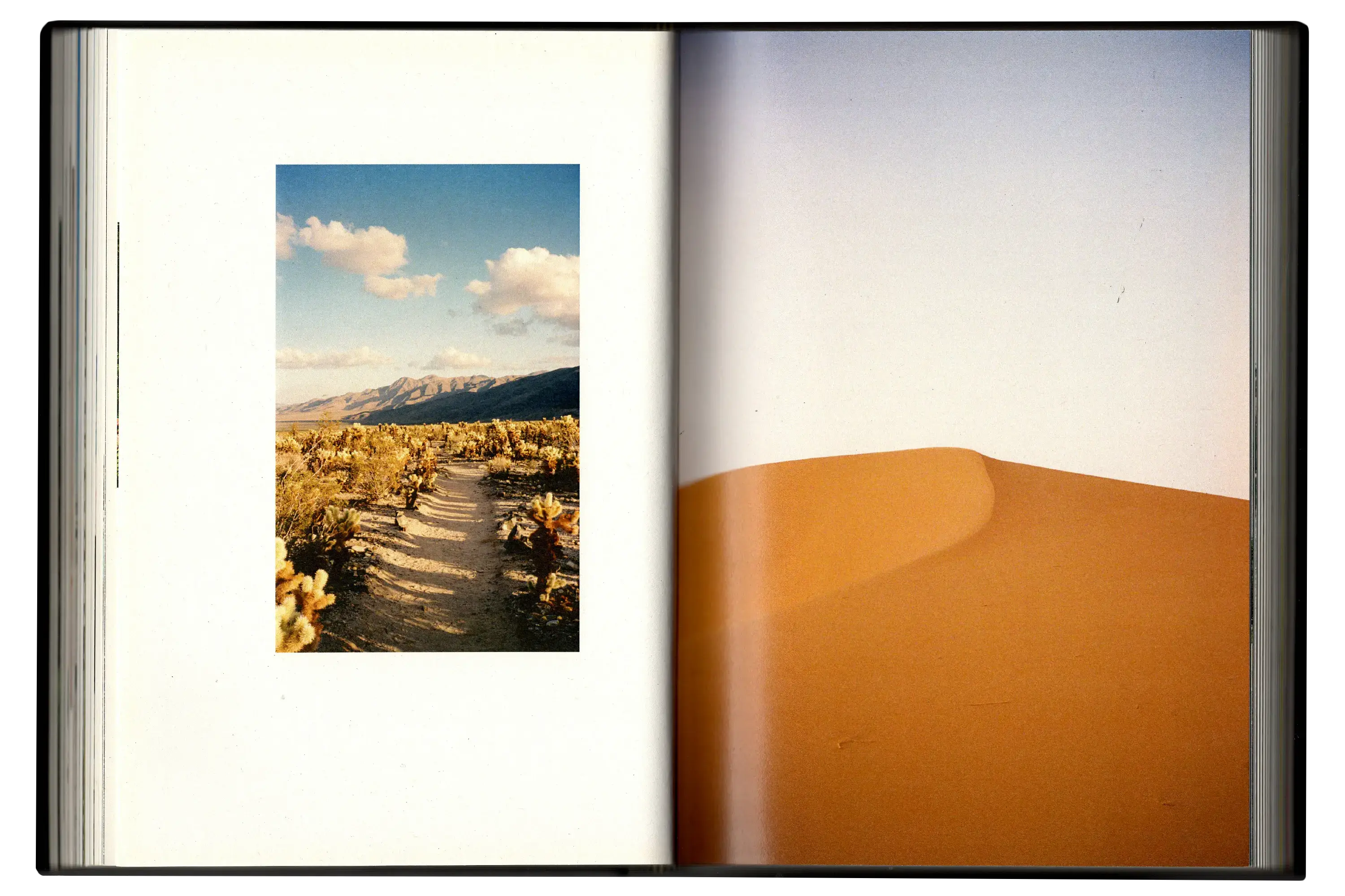 Imperfect Photo Book - left page shows cropped image of desert field of cacti, right page full bleed image of desert sand dune