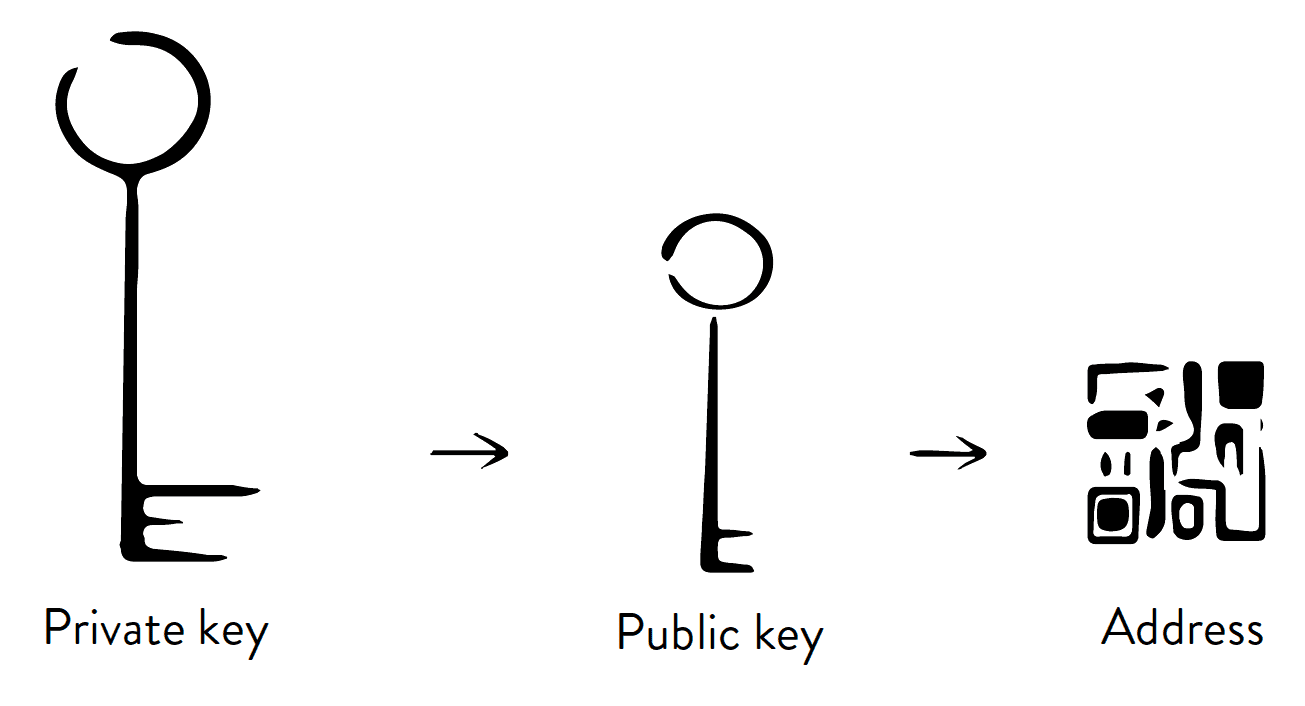 bitcoin public key vs address