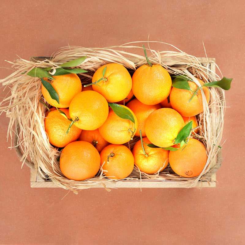 Greek-Grocery-Greek-Products-fruit-box-of-fresh-greek-oranges-small-4kg-Argolidas