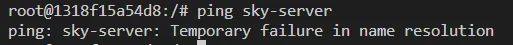 No sky-server was found