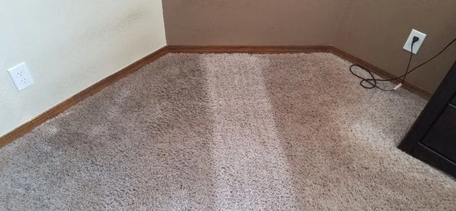 dirty carpets with a clean stripe