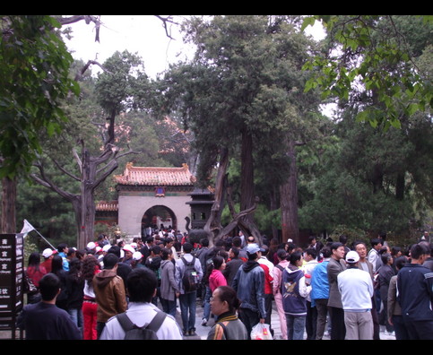 China Forbidden City 22