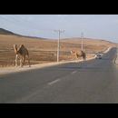 desert highway 2