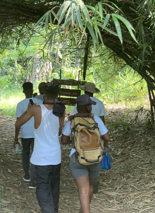 group walking in forest