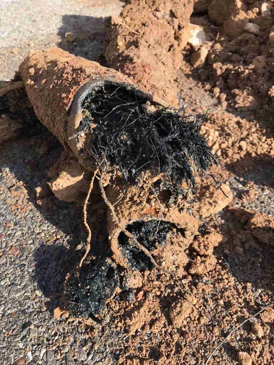 Root Clogged Sewer Line Repair Ends On Positive Note