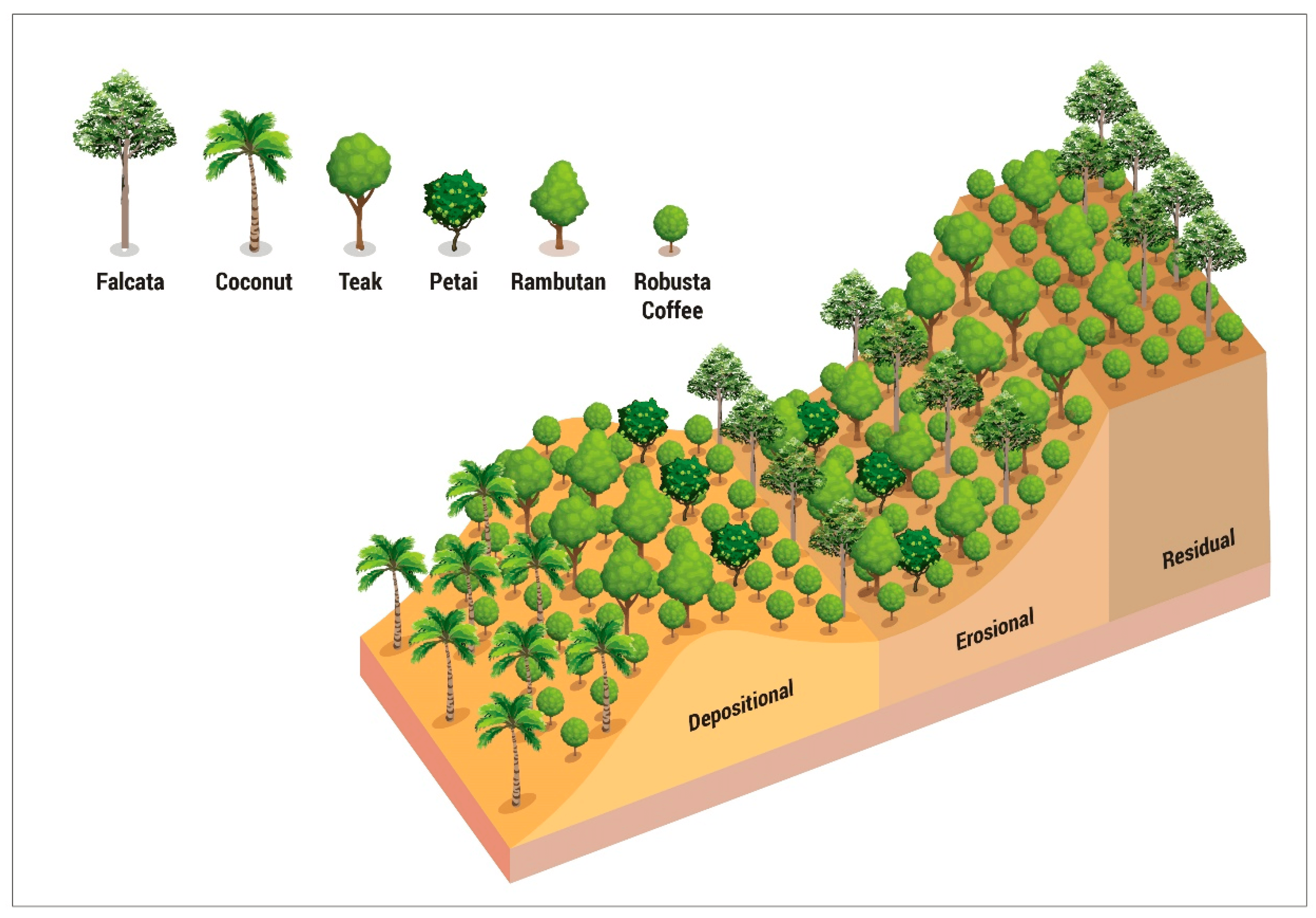Land Sinks The Climate Tech Handbook