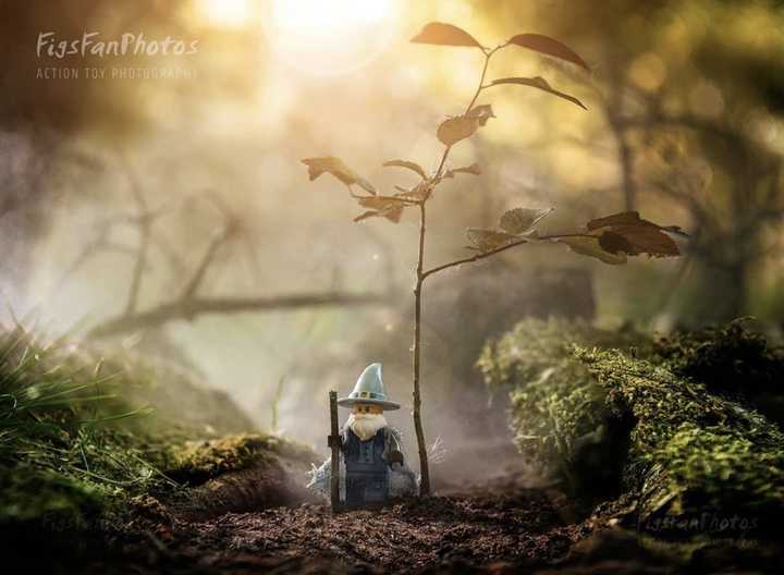 Six Inch Figure Collections Weekly Update 2