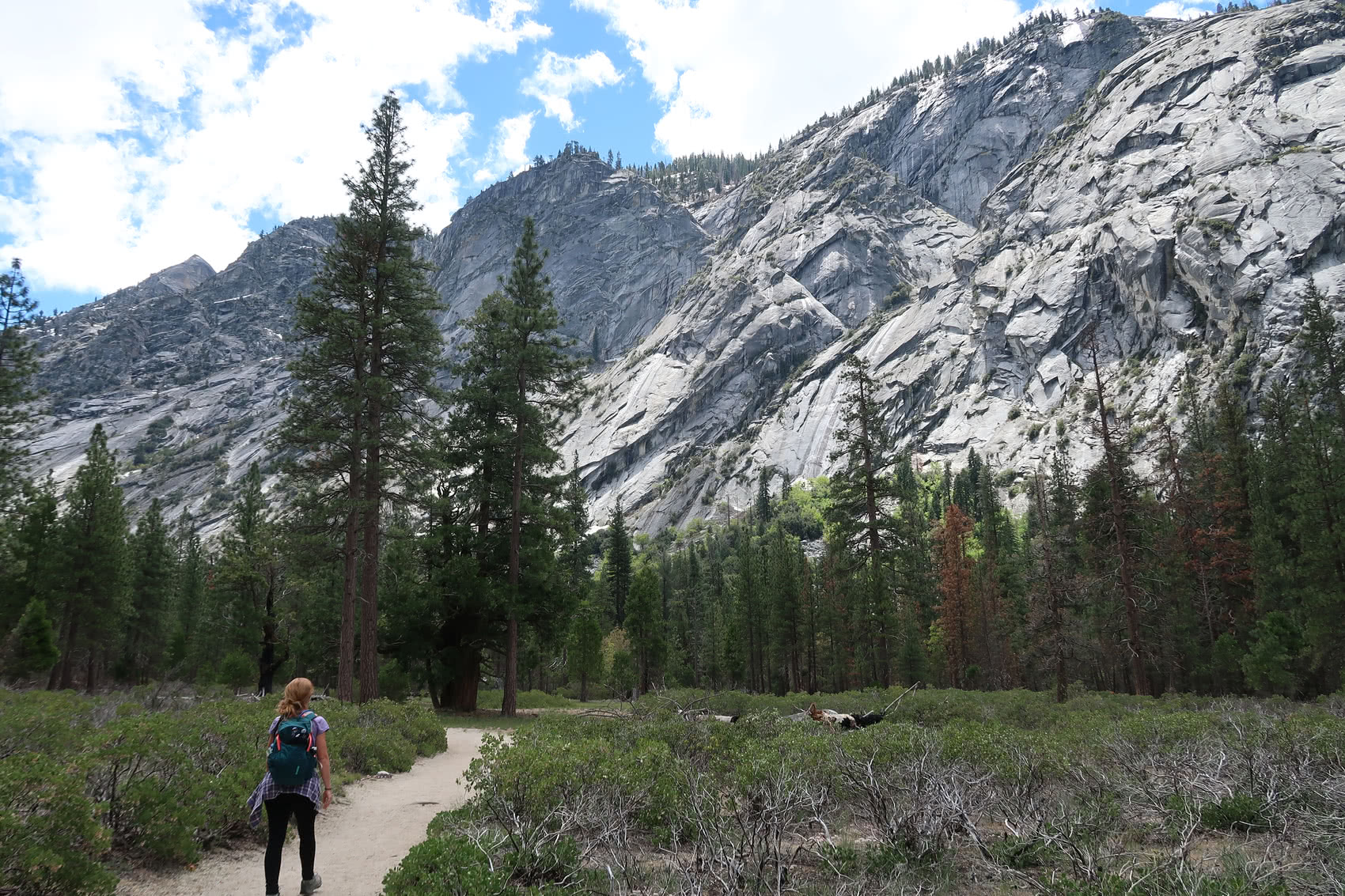 Jilly leading the way to Mist Falls!