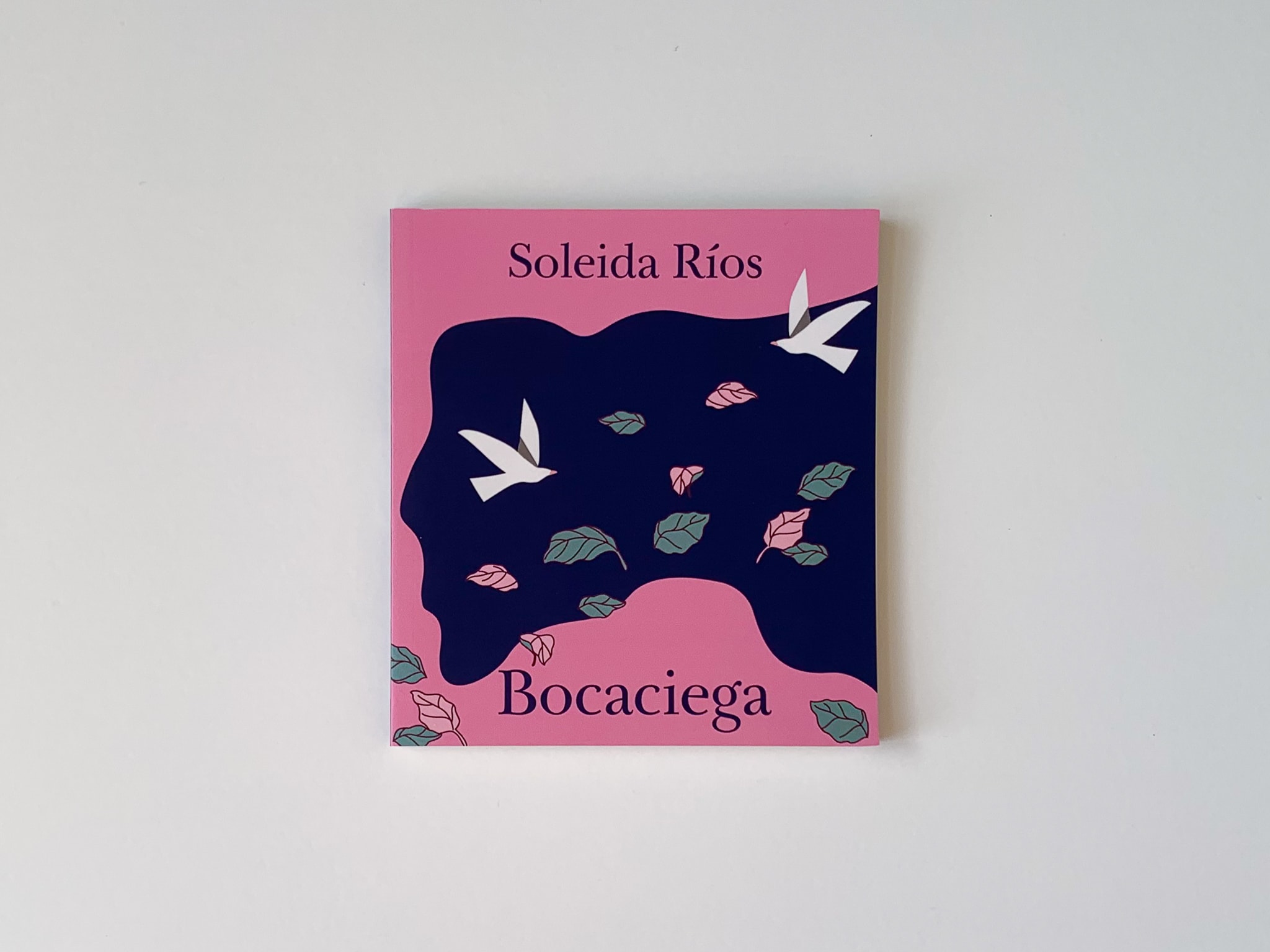 Bocaciega, de Soleida Ríos.
