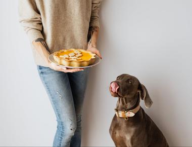 What Age Can You Give Puppies Treats? Dangers of Starting Too Early
