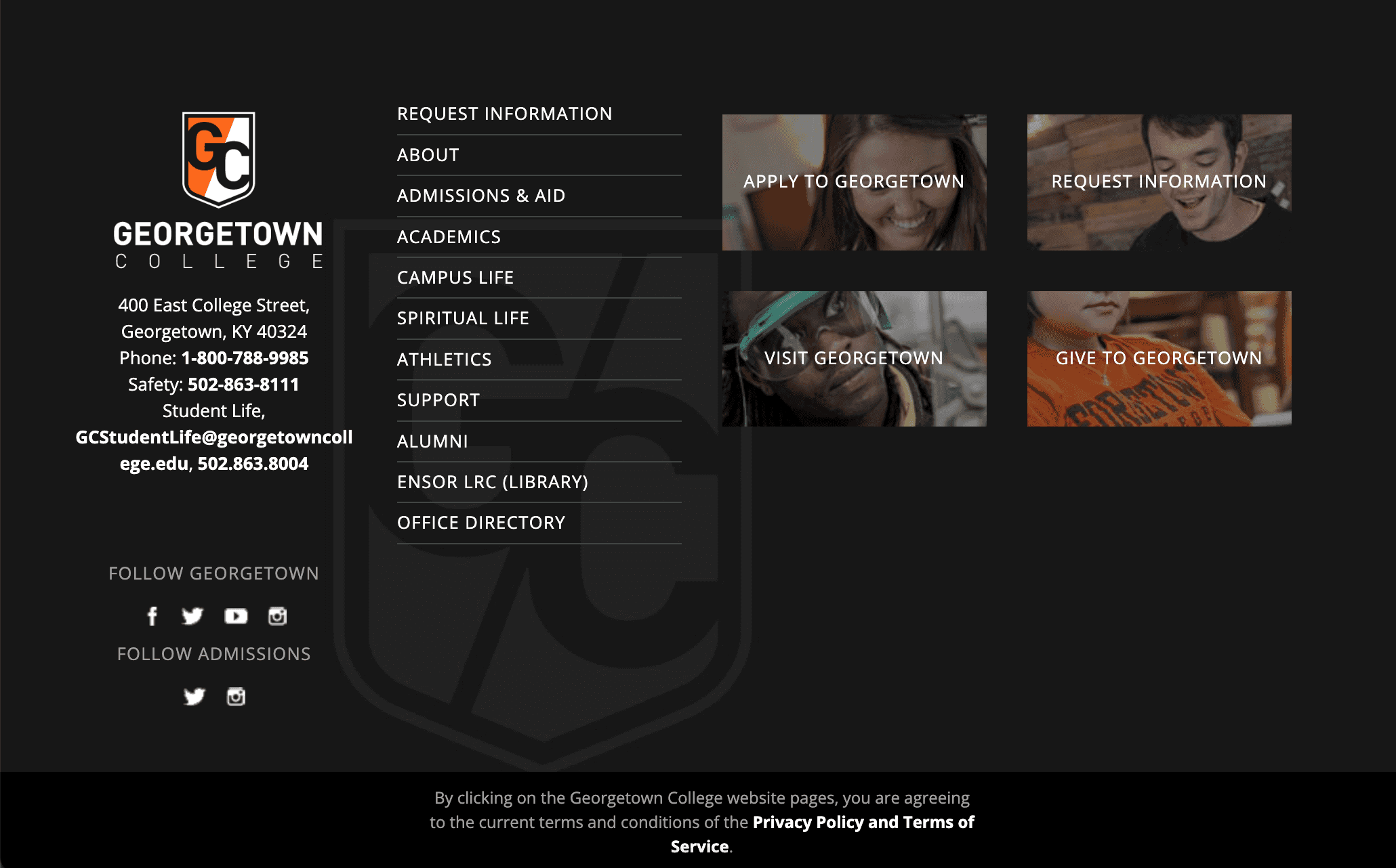 Showcase — 5 Custom Site Designs — Clean Catalog