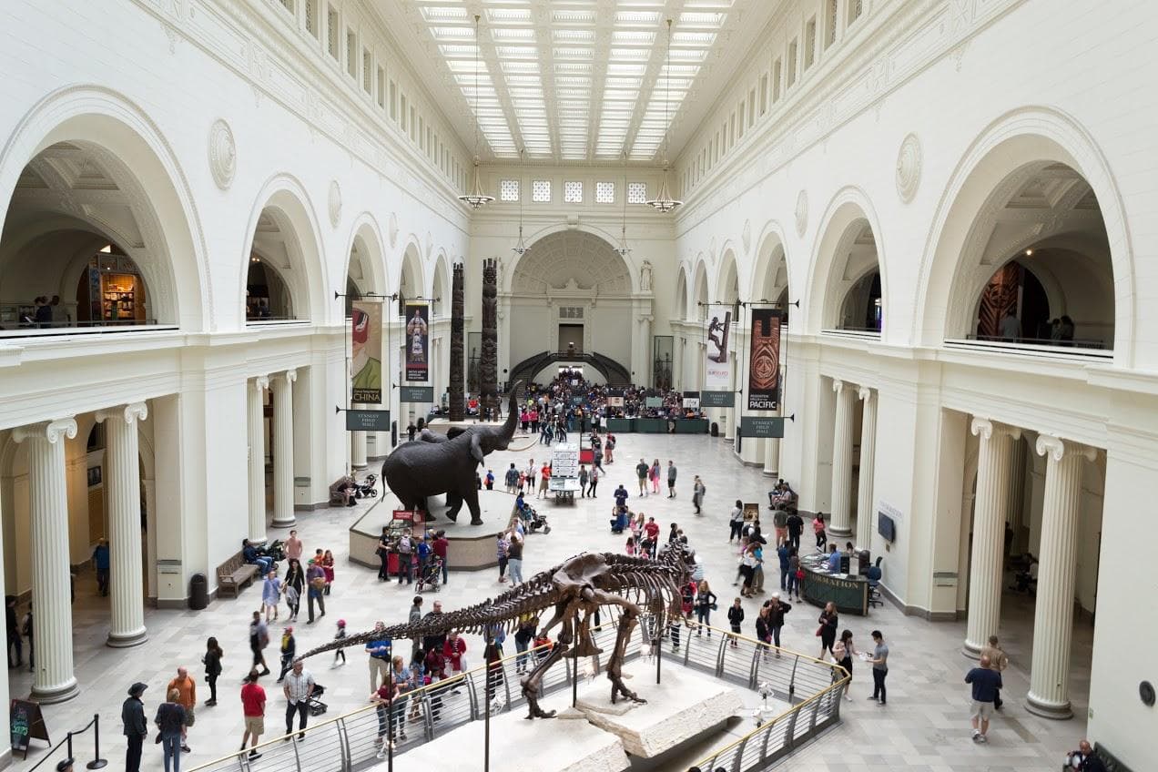 The Field Museum Lobby