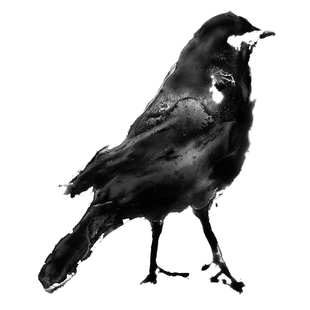 Studiocoucou-square-white-bg