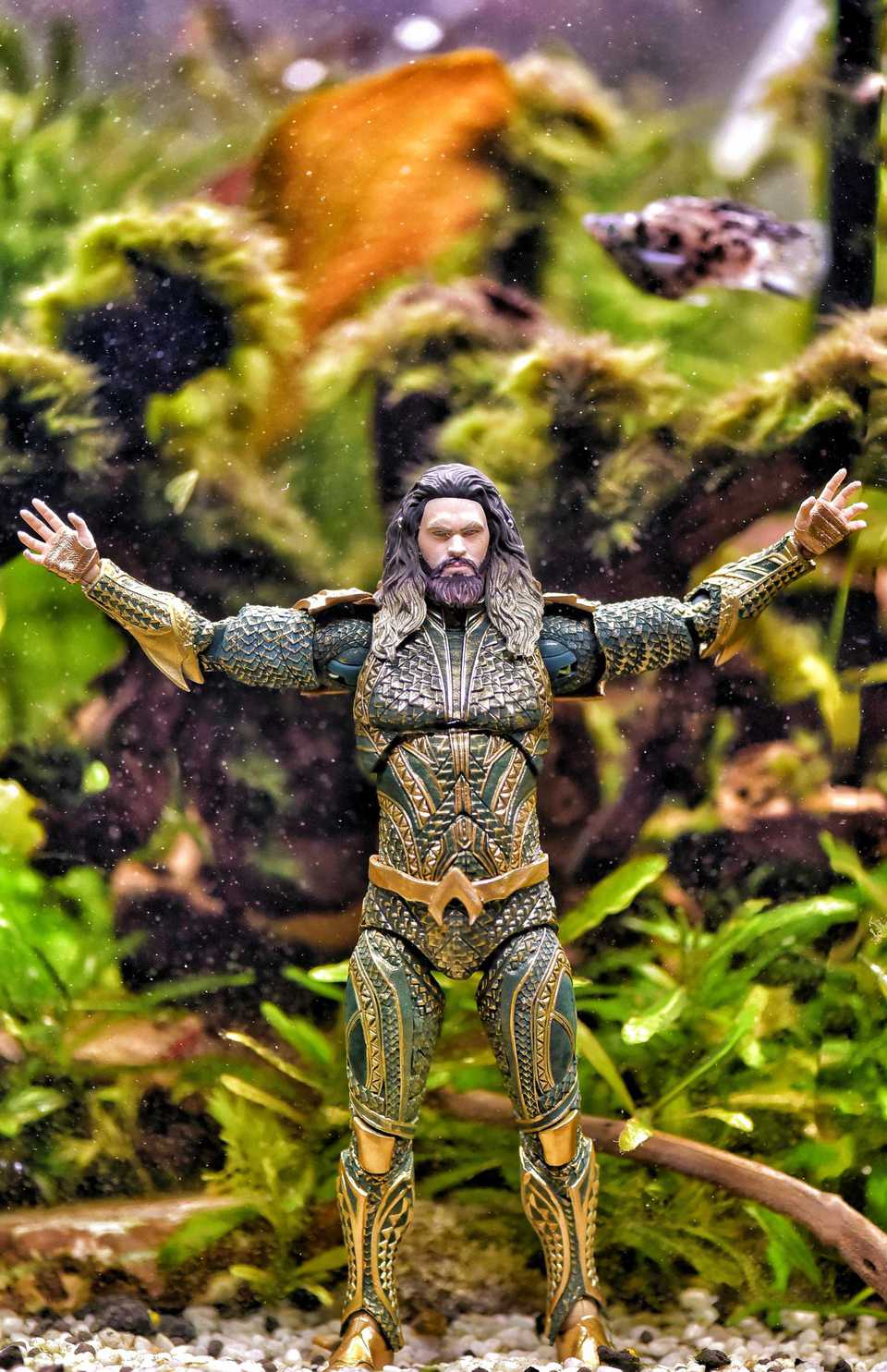 Aquaman In Fish Tank