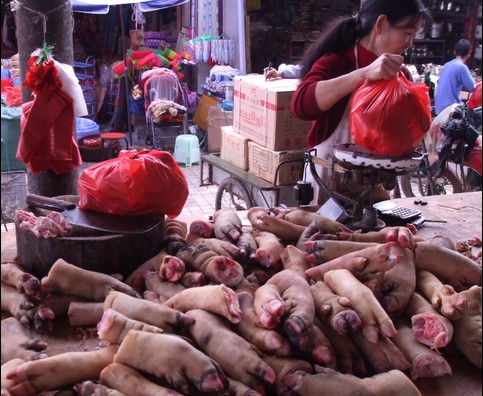 China Yunnan Butchers 22