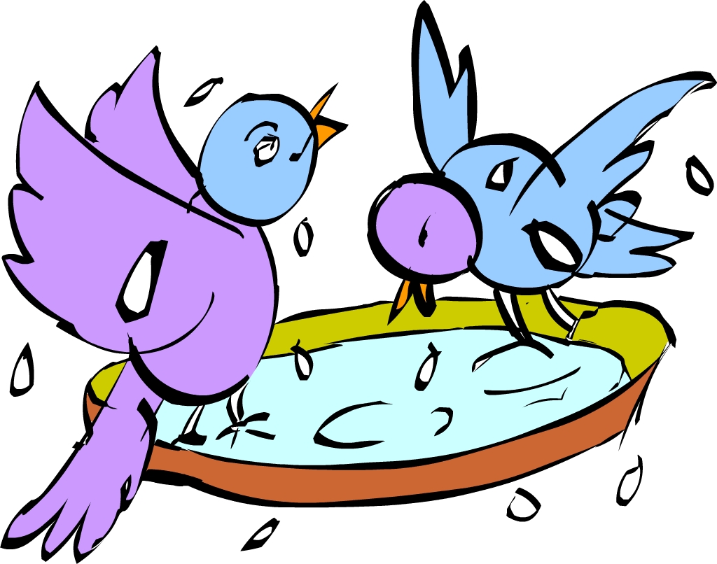 They splashed In the pool