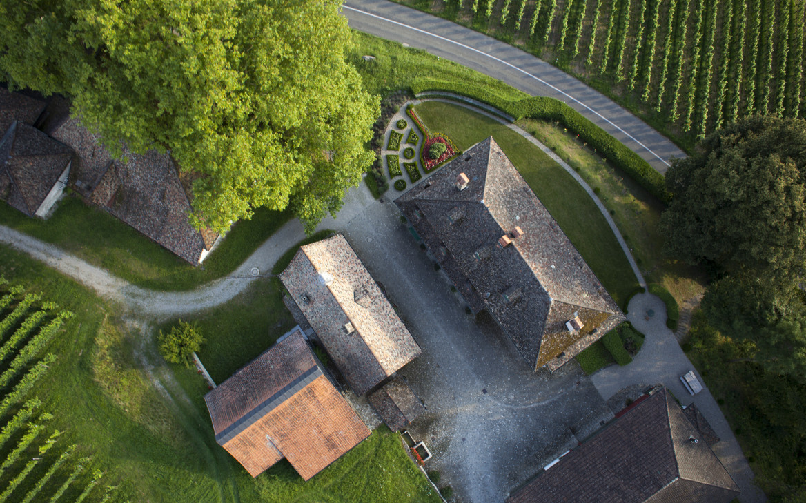 Familientradition und Schweizer Spitzenweine