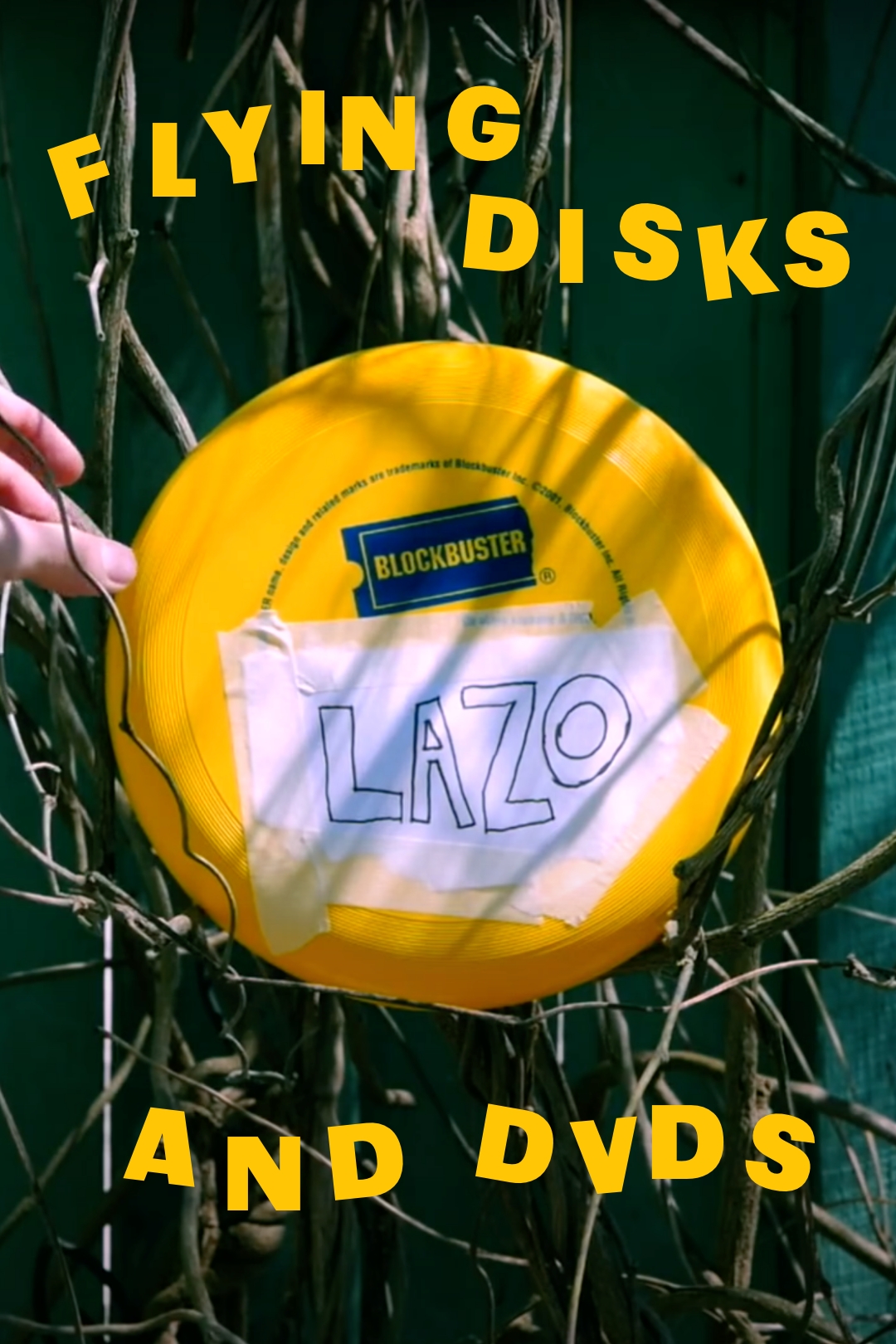 Poster for the film "Flying Disks and DVDs"