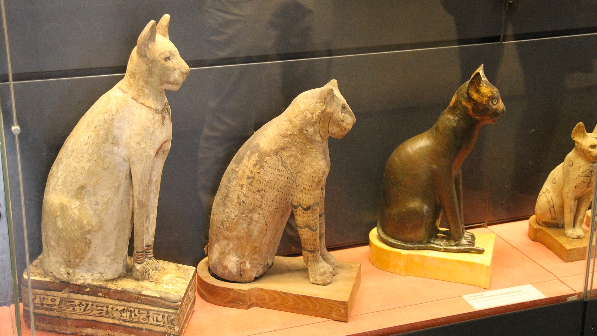 A Brief History Of Cats