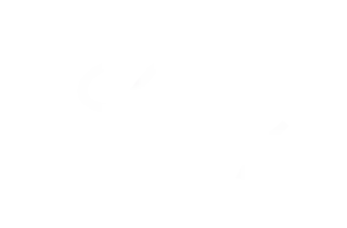 logo-lilly-reverse