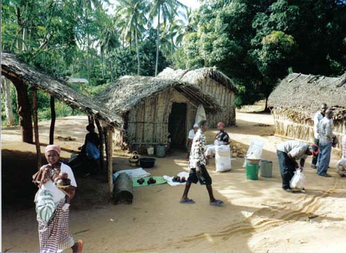 Mozambique village 2