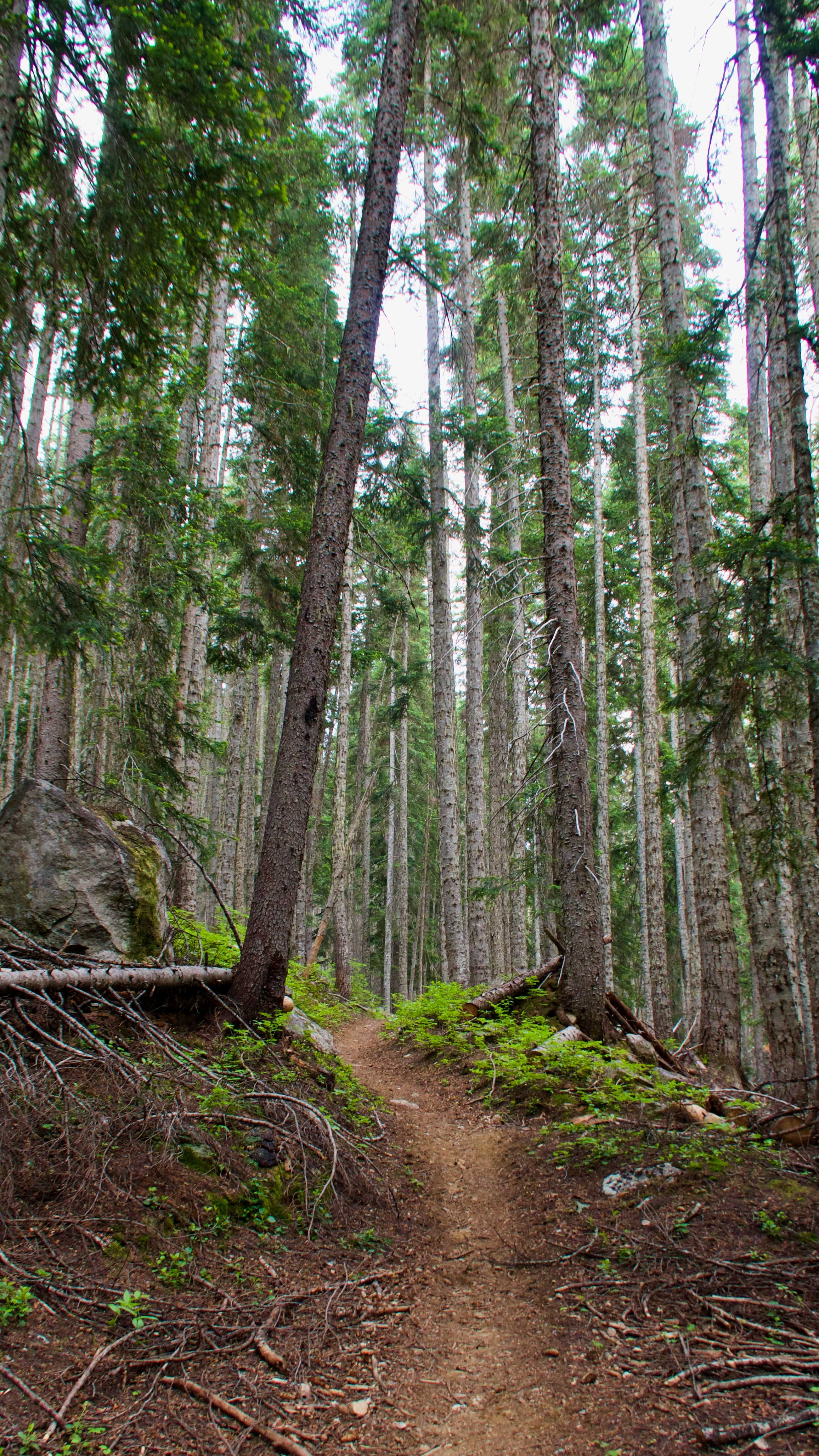 PCT 2019: Day 60, Methow River to Rainy Pass | Hike with Gravity