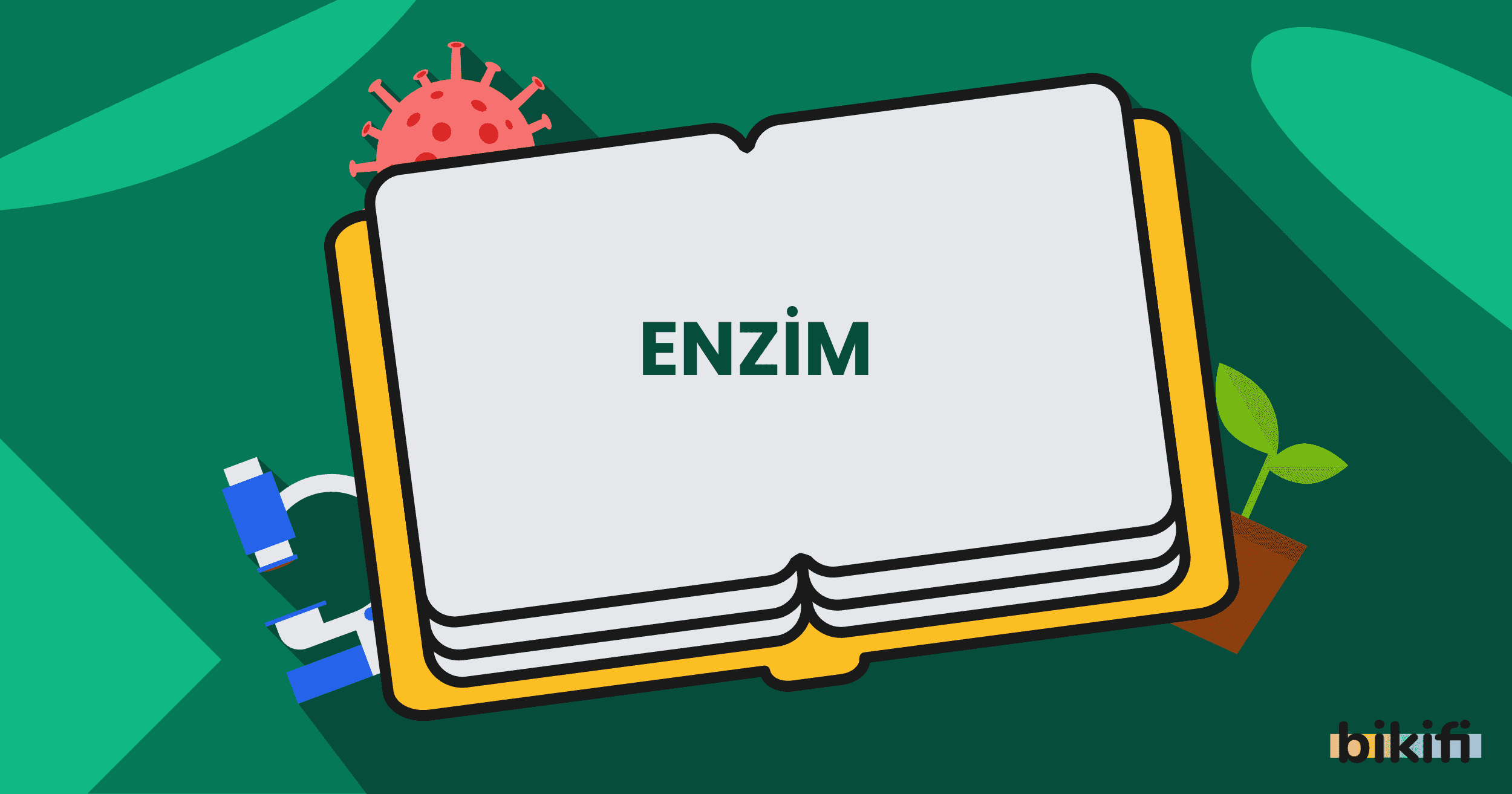 Enzim
