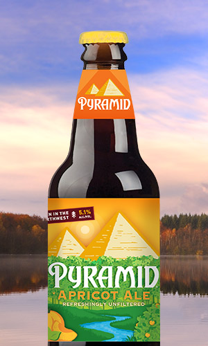 gifts for home brewing beer apricot ale pyramid brewing co gifts for home brewing beer apricot ale pyramid brewing co