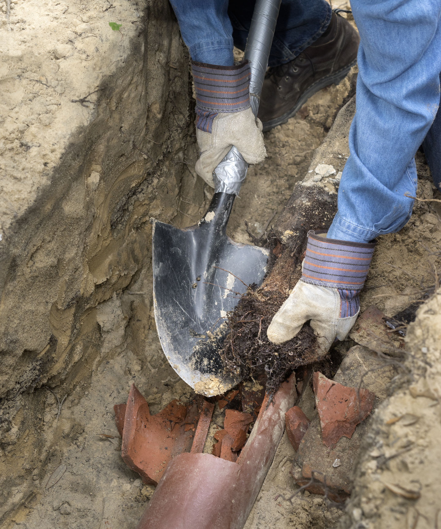 Drain root cutting Urban Drainage Ltd, Auckland