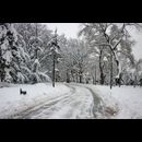 Serbia Belgrade Snow 6