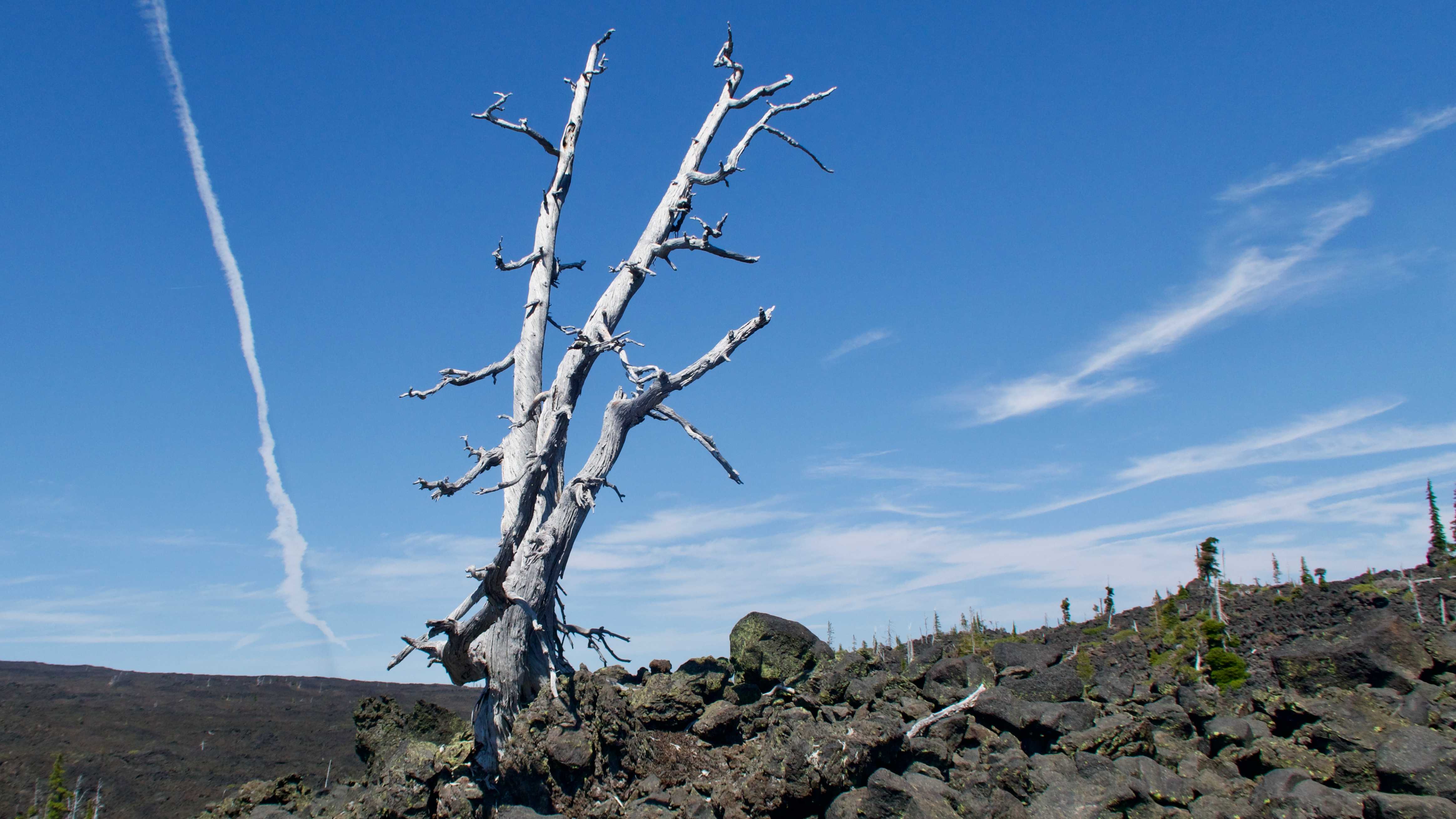 PCT 2019: Day 98, Big Lake Youth Camp to Obsidian Limited Entry Area ...