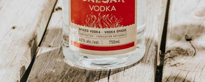 mini vodka