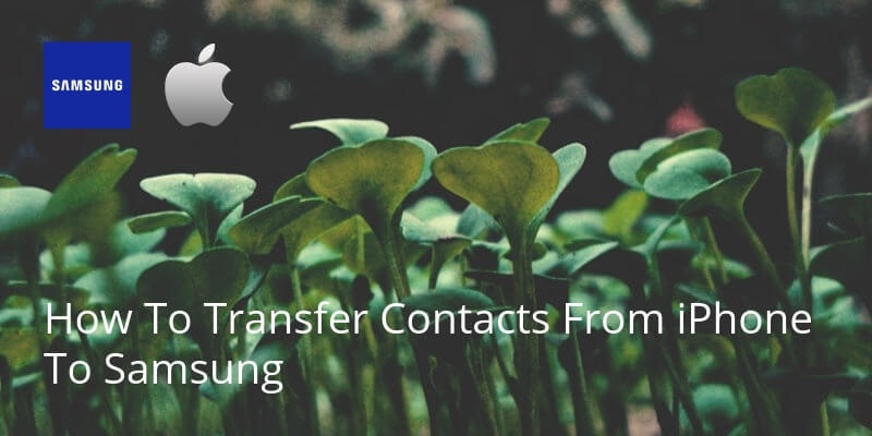 How To Transfer Contacts From iPhone To Samsung