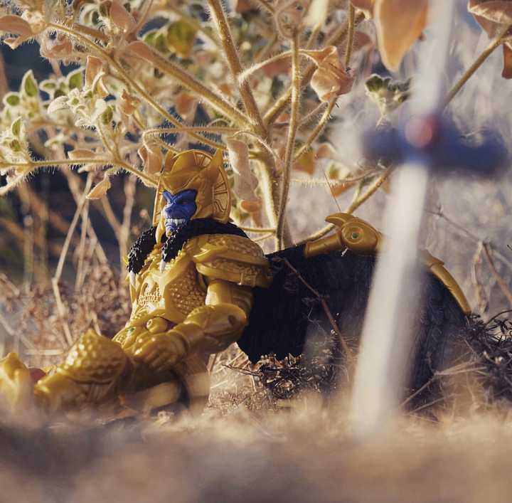 Six Inch Figure Collections Weekly Update 14