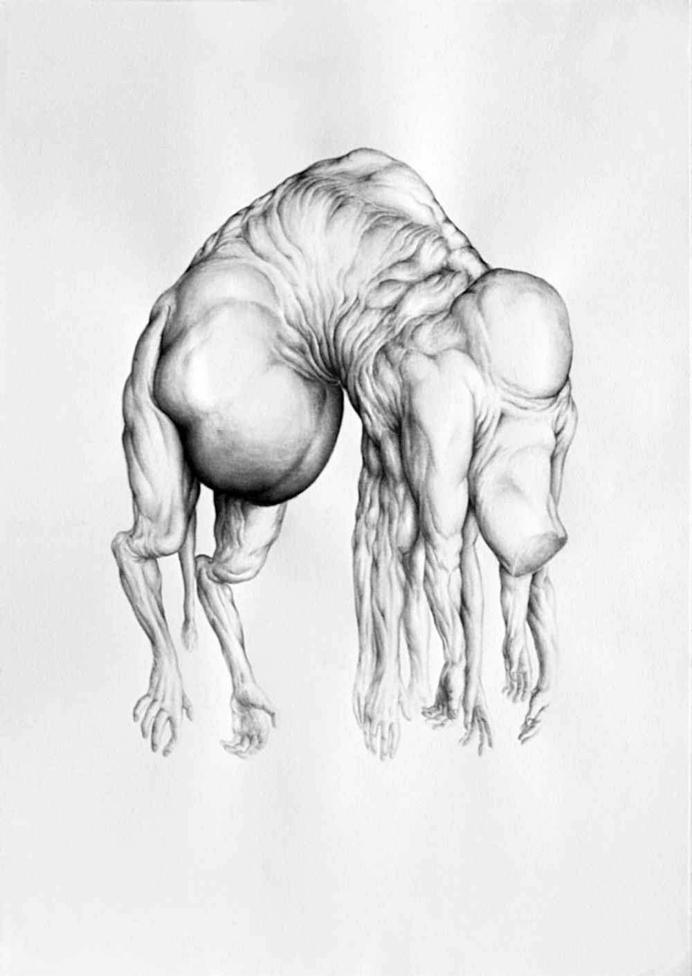 Planktonian People I, 2013, ink on paper, 16.5(h) x 23.25(w) inches