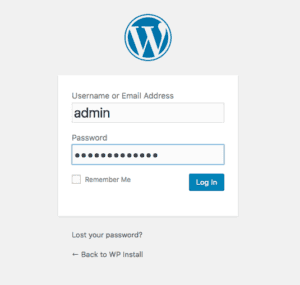Now that your site is set up, login to Wordpress.