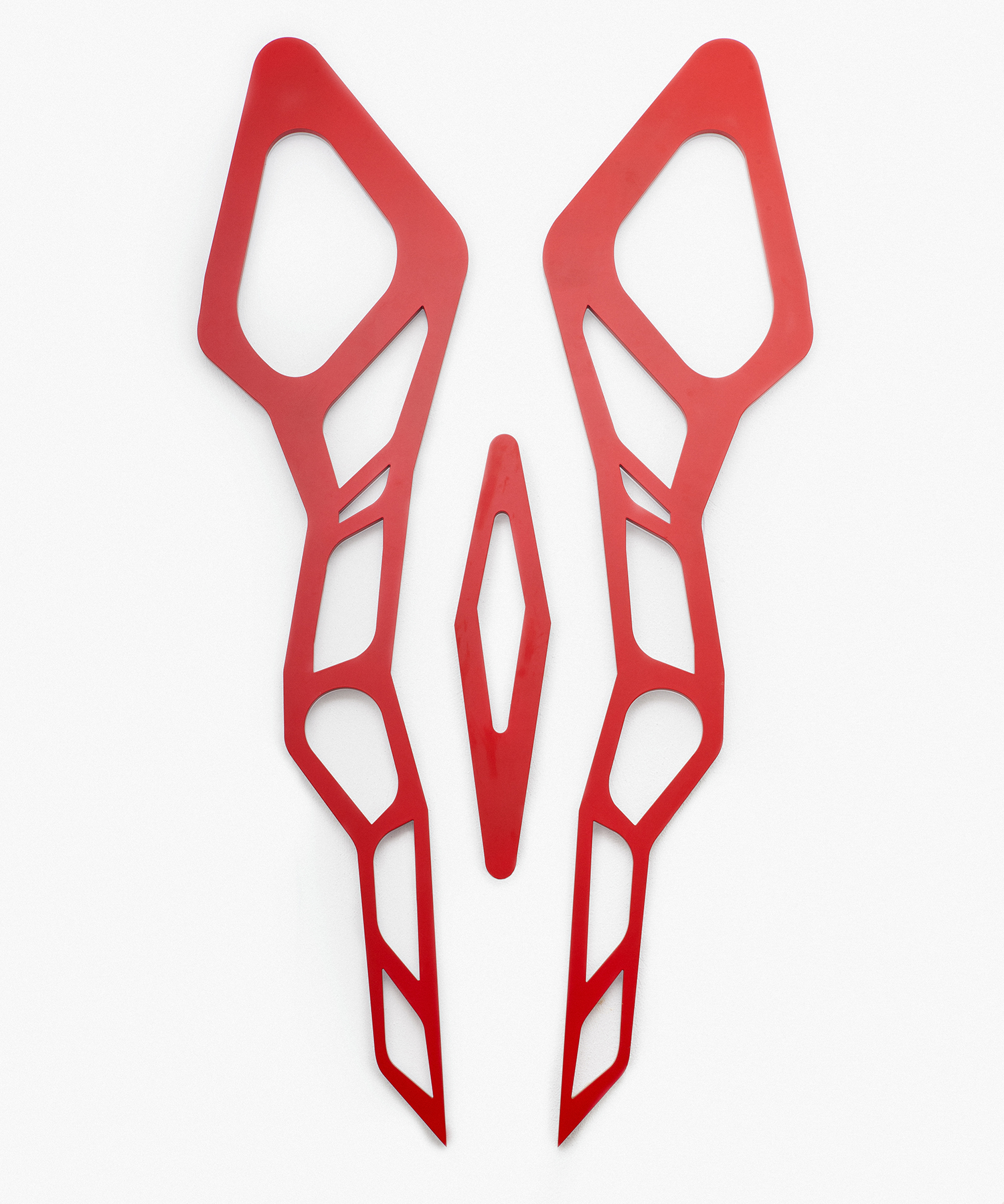 Spinal Mirror (2019)