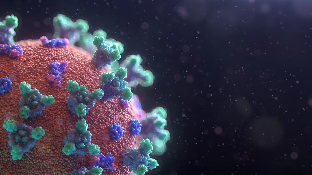 Visualization of the Covid-19 virus.