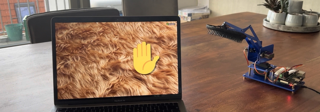 Raspberry Pi, Python and cats: my first foray into embedded development ...