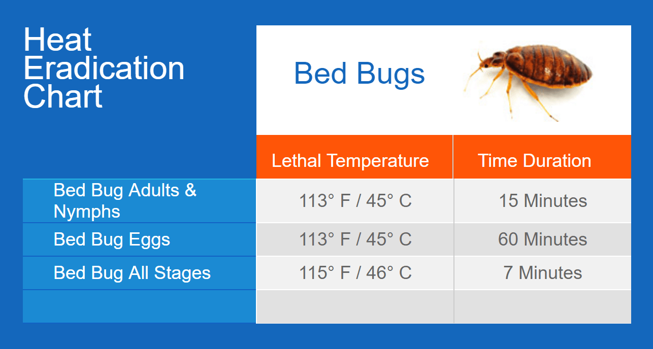 Table with temperatures that kill bed bugs