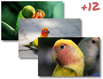 Parrot theme pack