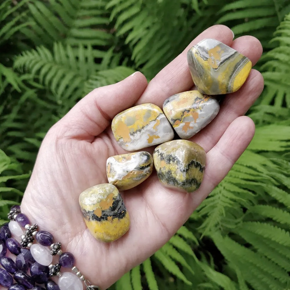 person holding Bumblebee Jasper in hand